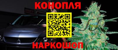 индика Малгобек